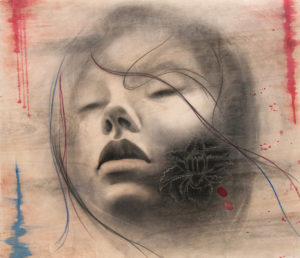Gianni Roppo IL MIO FIORE Grafite su tavola 70x60 cm - 2013